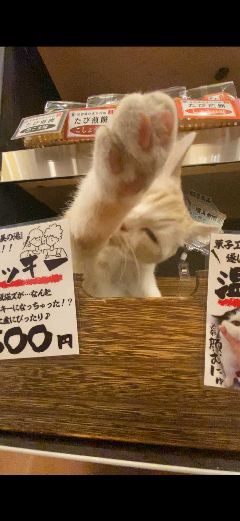 ぬ🌟さんの行田・湯本天然温泉 茂美の湯のサ活写真