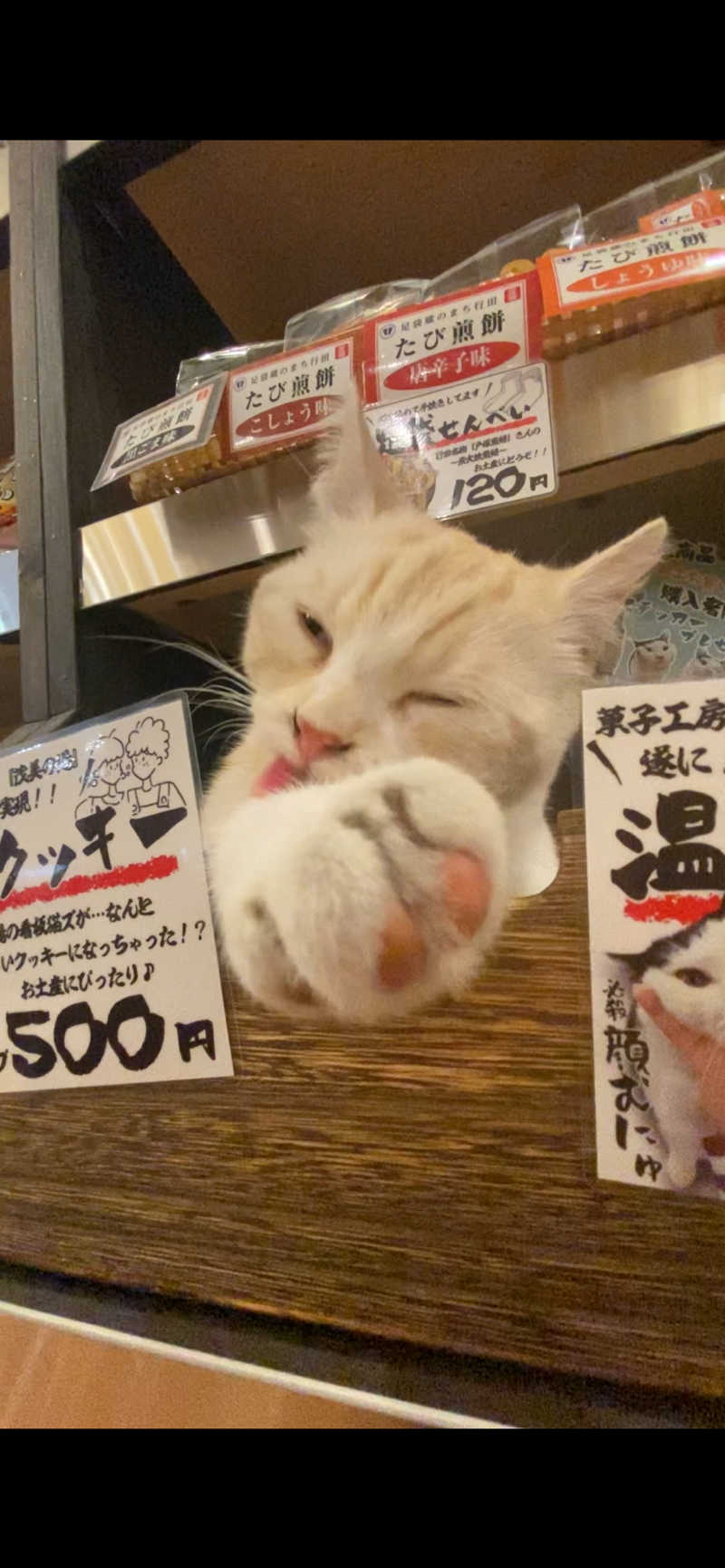 ぬ🌟さんの行田・湯本天然温泉 茂美の湯のサ活写真