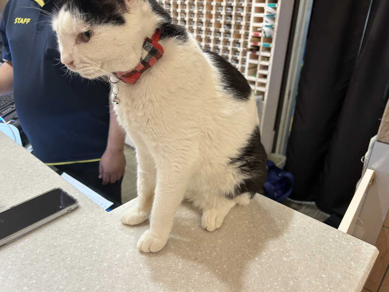 ぬ🌟さんの行田・湯本天然温泉 茂美の湯のサ活写真