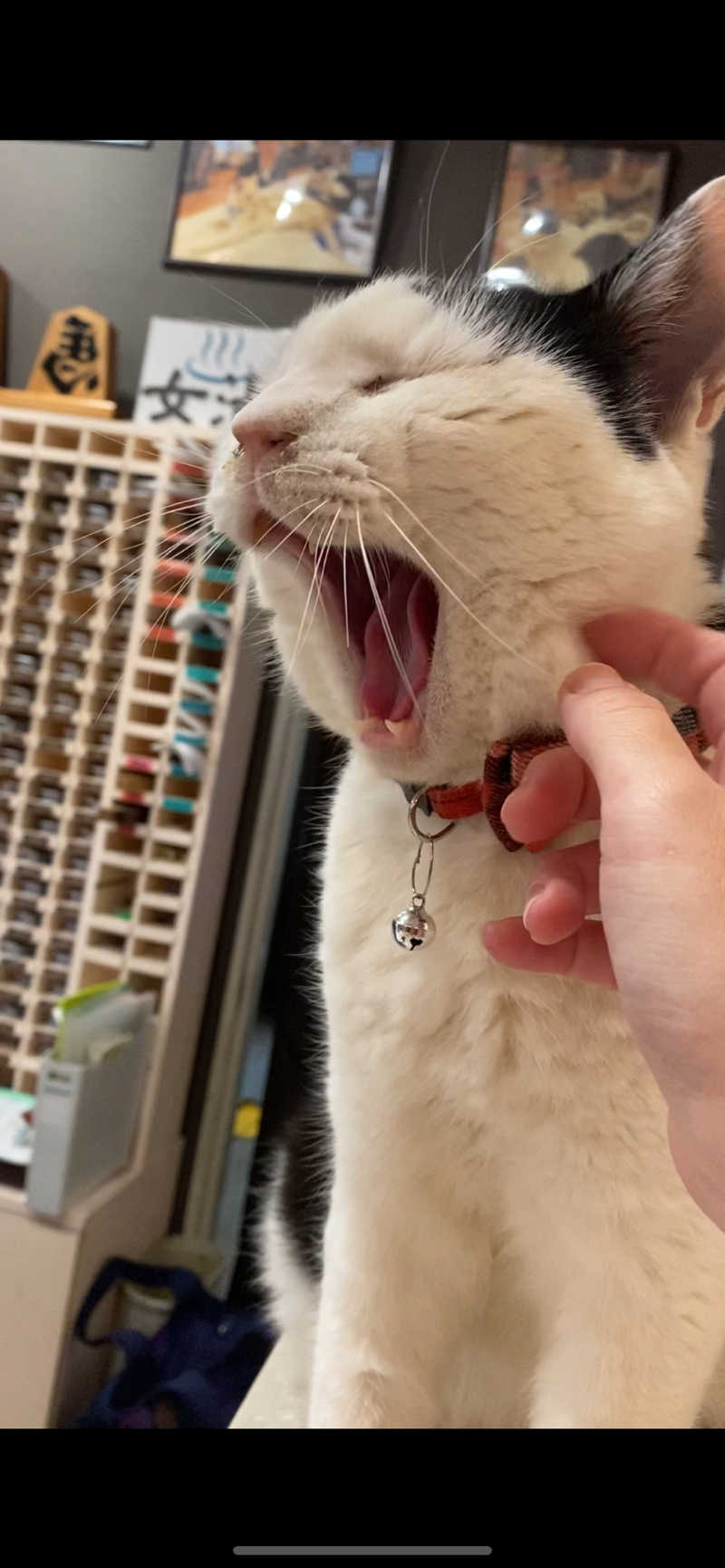 ぬ🌟さんの行田・湯本天然温泉 茂美の湯のサ活写真