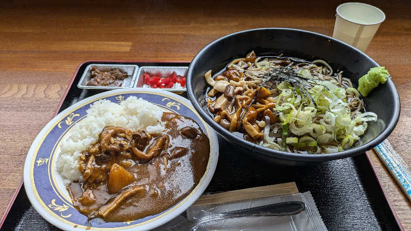 鶏ガラハッターさんの湖畔の宿支笏湖 丸駒温泉旅館のサ活写真