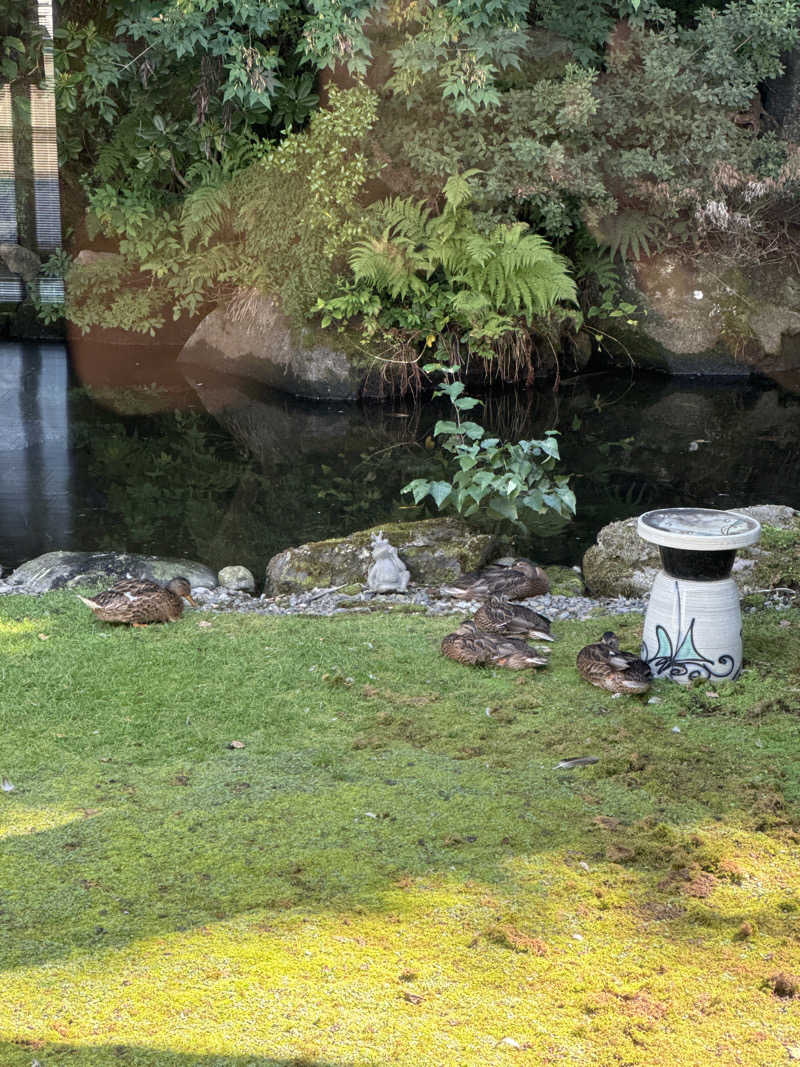 ナイスKATOさんの自由ヶ丘温泉のサ活写真