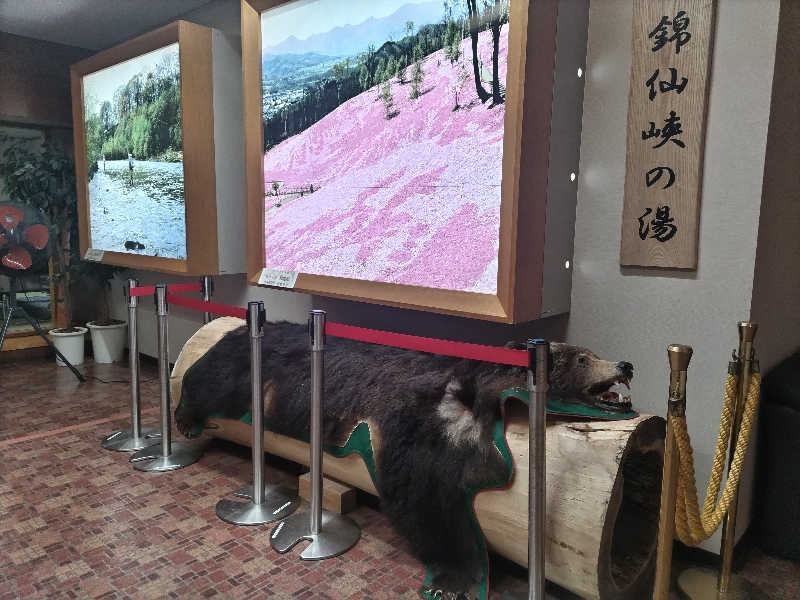杉さんさんのたきのうえホテル渓谷のサ活写真