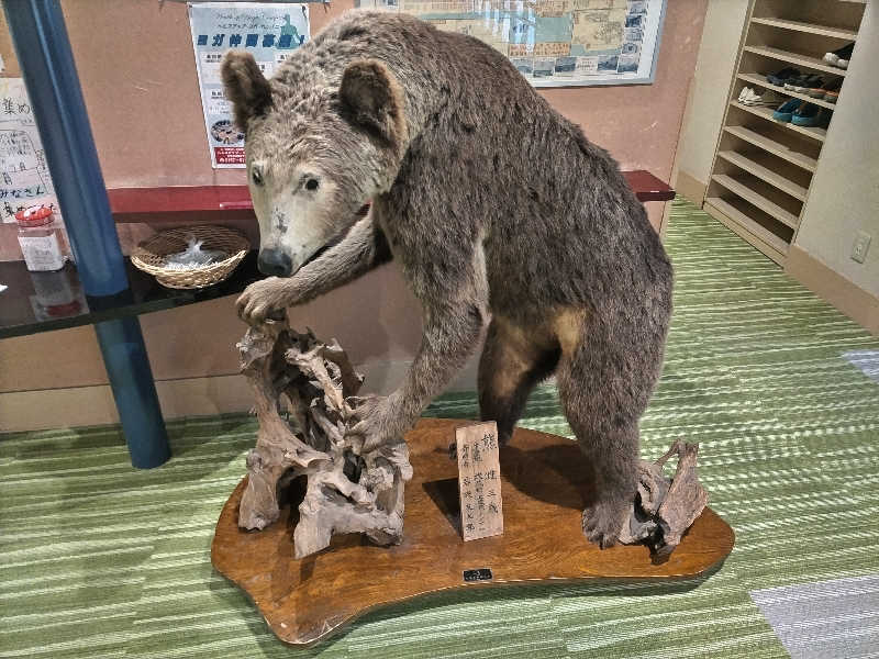 杉さんさんのオホーツク温泉ホテル日の出岬のサ活写真