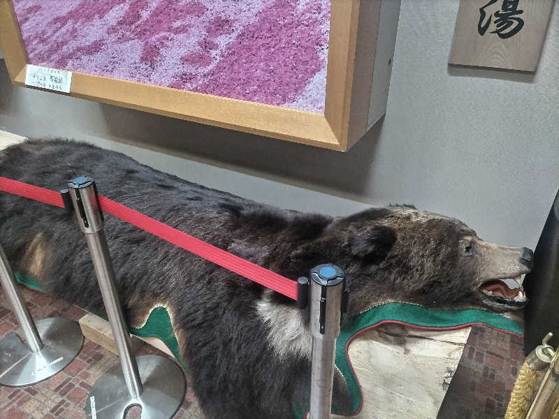 杉さんさんのたきのうえホテル渓谷のサ活写真