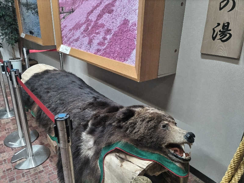 杉さんさんのたきのうえホテル渓谷のサ活写真