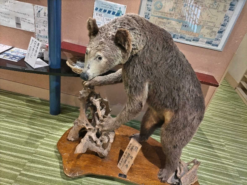 杉さんさんのオホーツク温泉ホテル日の出岬のサ活写真