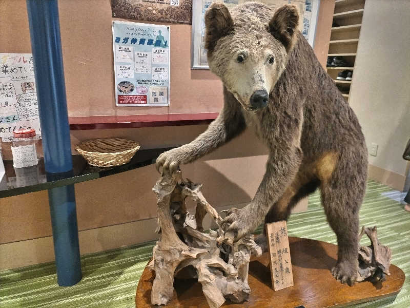 杉さんさんのオホーツク温泉ホテル日の出岬のサ活写真