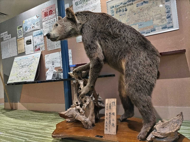 杉さんさんのオホーツク温泉ホテル日の出岬のサ活写真