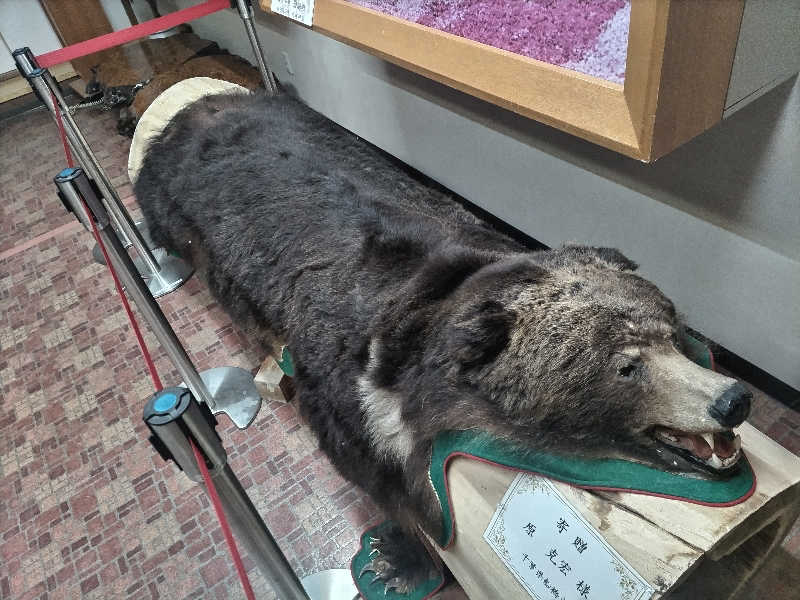 杉さんさんのたきのうえホテル渓谷のサ活写真