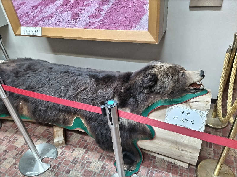 杉さんさんのたきのうえホテル渓谷のサ活写真