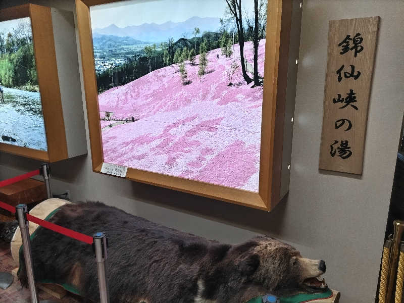 杉さんさんのたきのうえホテル渓谷のサ活写真