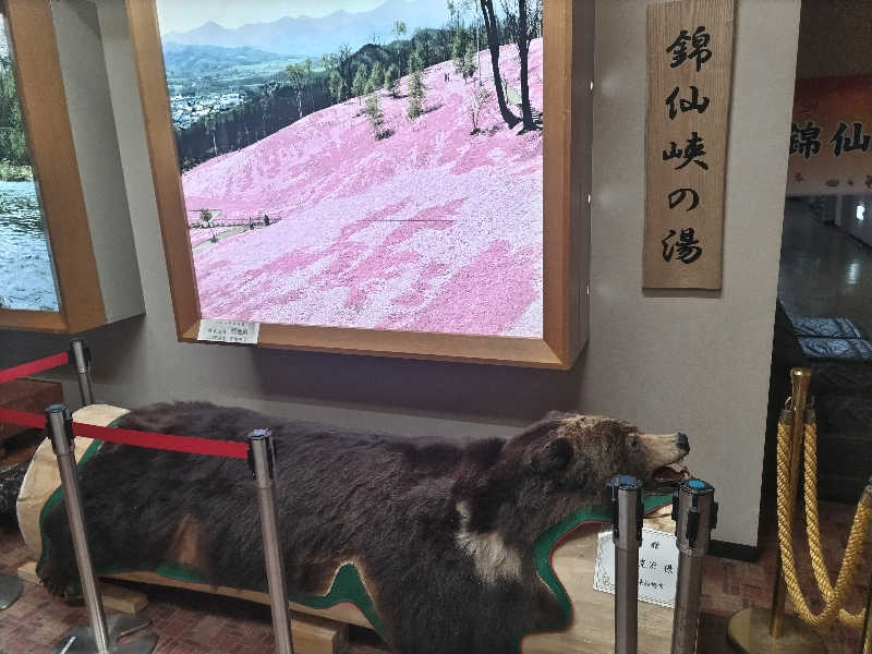 杉さんさんのたきのうえホテル渓谷のサ活写真