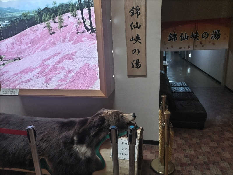 杉さんさんのたきのうえホテル渓谷のサ活写真