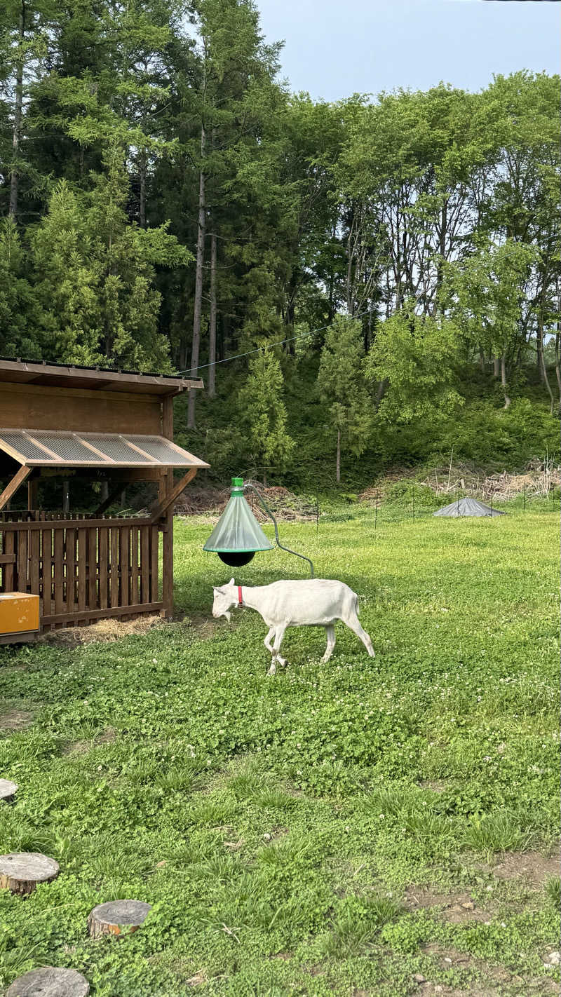 ちーずさんのEarthboat Kurohimeのサ活写真