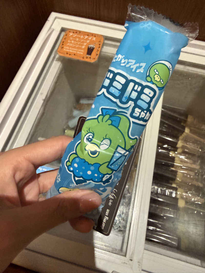 大塚びるさんの天然温泉 花蛍の湯ドーミーインPREMIUM京都駅前のサ活写真