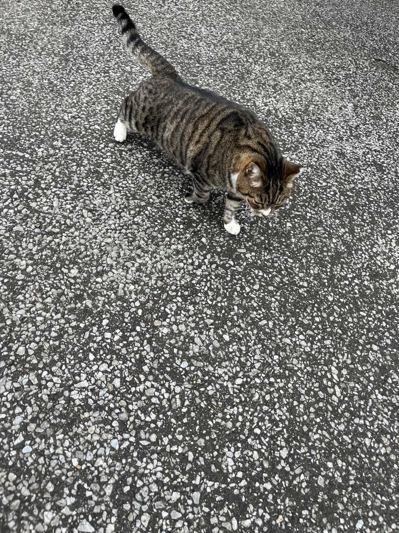 GunnersさんのSATOYAMA TERRACEのサ活写真