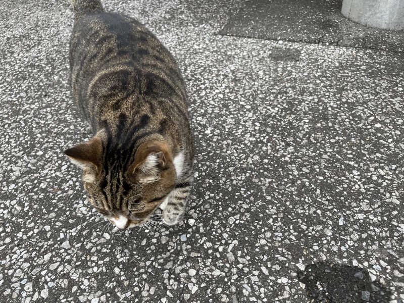 GunnersさんのSATOYAMA TERRACEのサ活写真