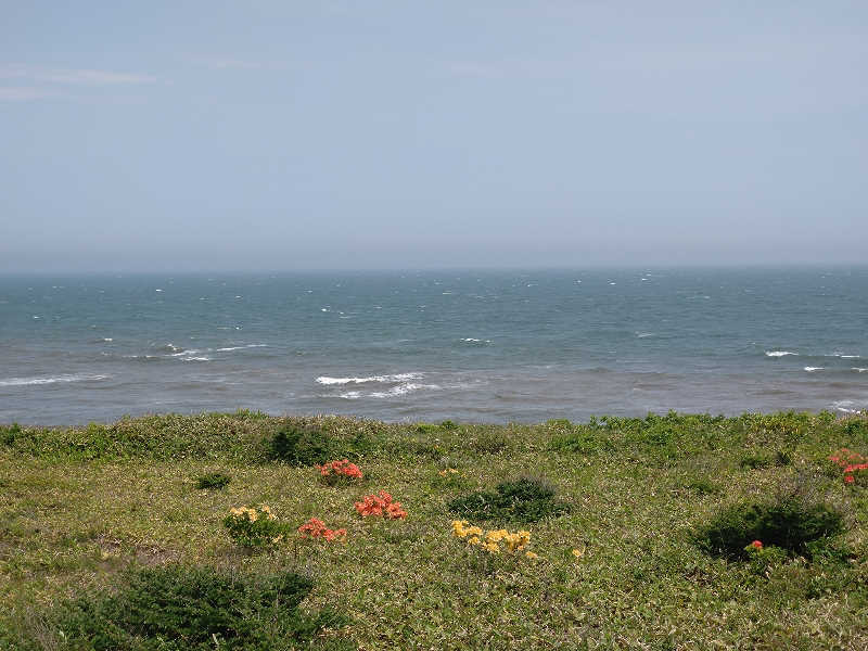 マサキさんの晩成温泉のサ活写真