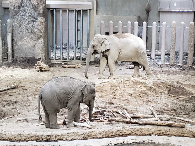 函館のサウナ好き！さんのていね温泉ほのかのサ活写真