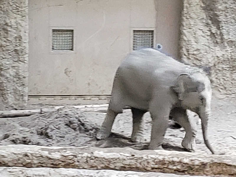 函館のサウナ好き！さんのていね温泉ほのかのサ活写真