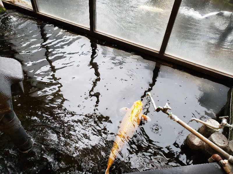 函館のサウナ好き！さんの花園温泉のサ活写真