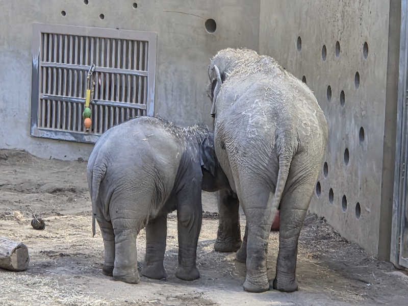 函館のサウナ好き！さんのていね温泉ほのかのサ活写真