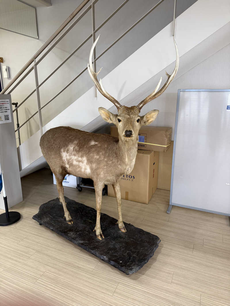 しろくんさんの恵庭温泉ラ・フォーレのサ活写真