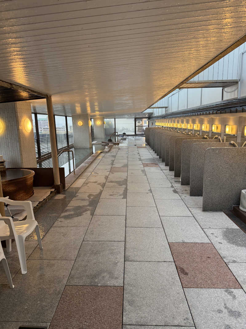 しろくんさんの湯元 啄木亭のサ活写真