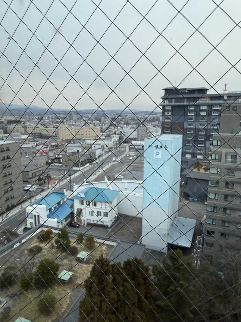 しろくんさんの湯元 啄木亭のサ活写真