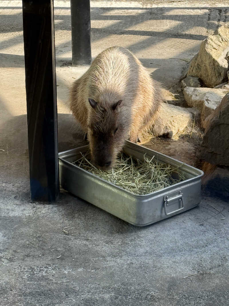 しろくんさんの石狩天然温泉 番屋の湯のサ活写真
