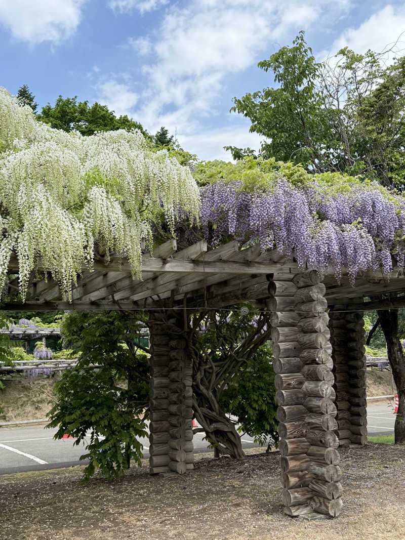 しろくんさんの旭川高砂台 万葉の湯のサ活写真