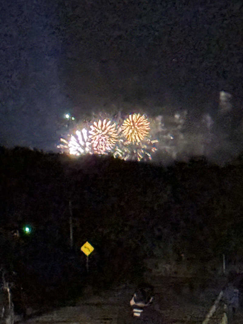 しろくんさんの苫小牧温泉 なごみの湯のサ活写真