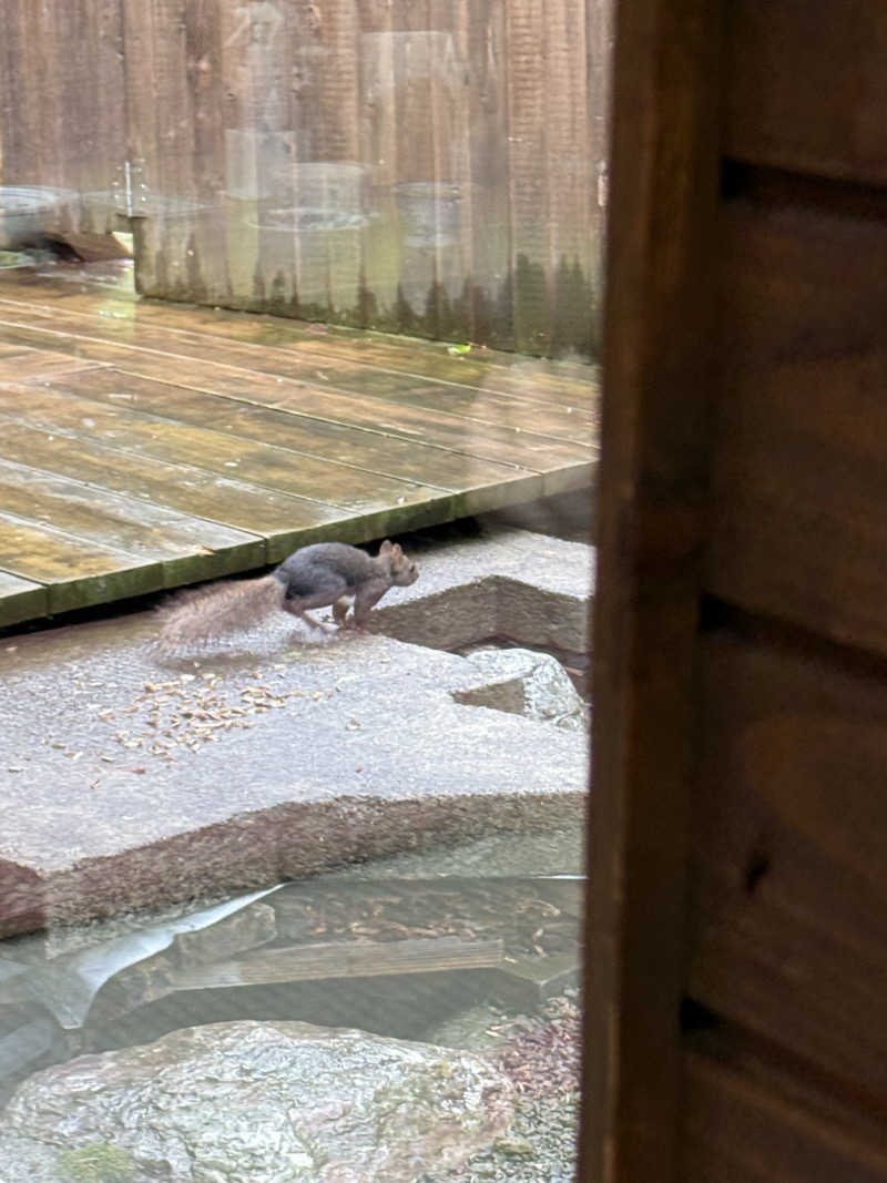 しろくんさんの湯宿だいいちのサ活写真