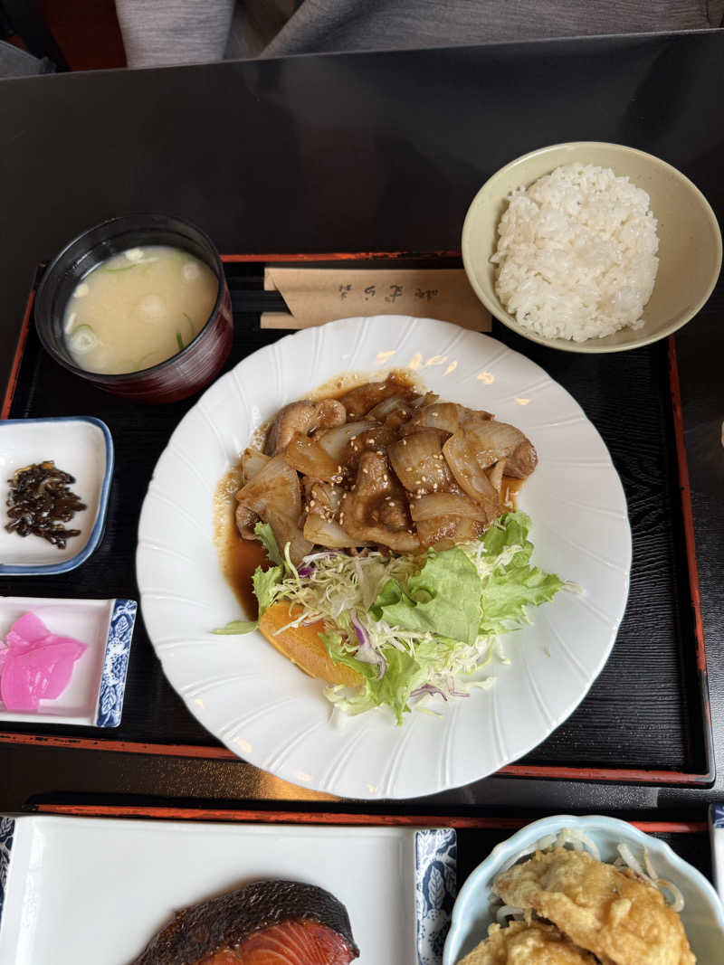 しろくんさんの温泉銭湯 夢元(ゆもと) さぎり湯のサ活写真