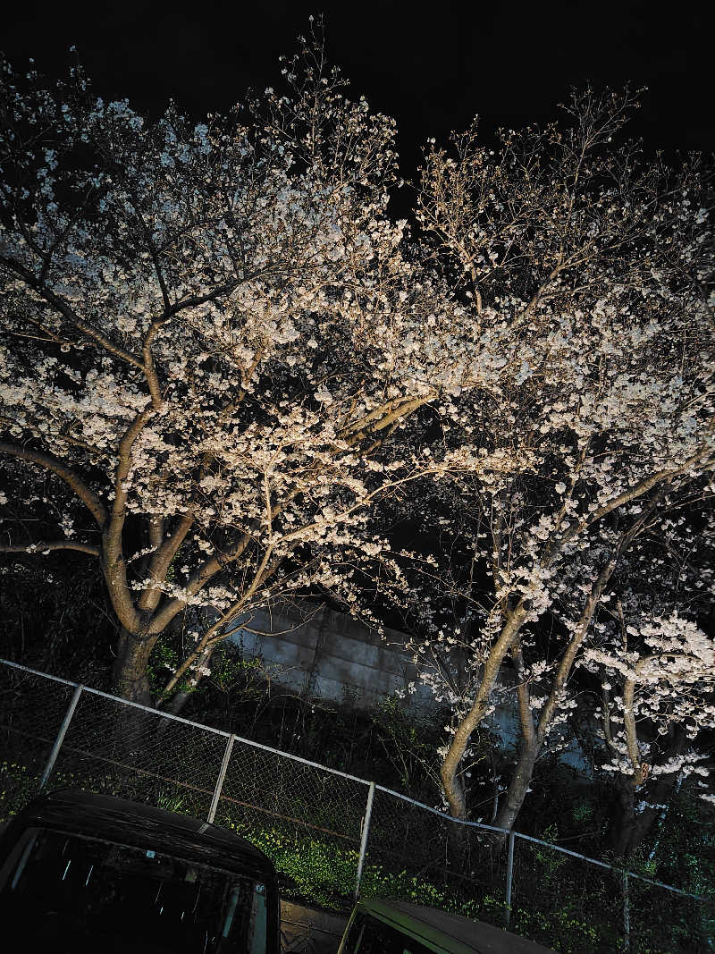 ランボさんの花山温泉 薬師の湯のサ活写真