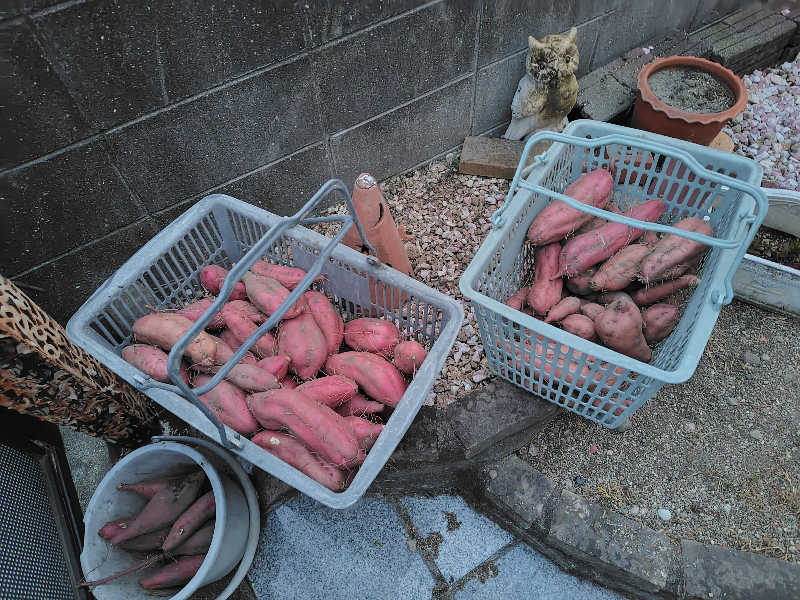 ランボさんのきらくゆ 和歌山店のサ活写真