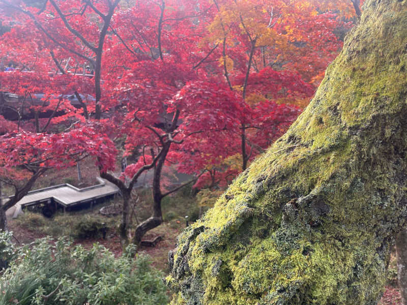 しばげんさんのふれあいパーク てまりの湯のサ活写真