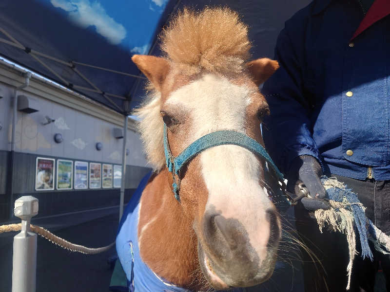 ケン(サウナー＆アマチュア熱波師)さんのととのいの郷 秦野湯花楽のサ活写真