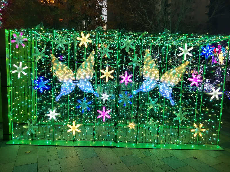 メリッサ🌿さんの磐梯の湯 ドーミーインEXPRESS郡山のサ活写真