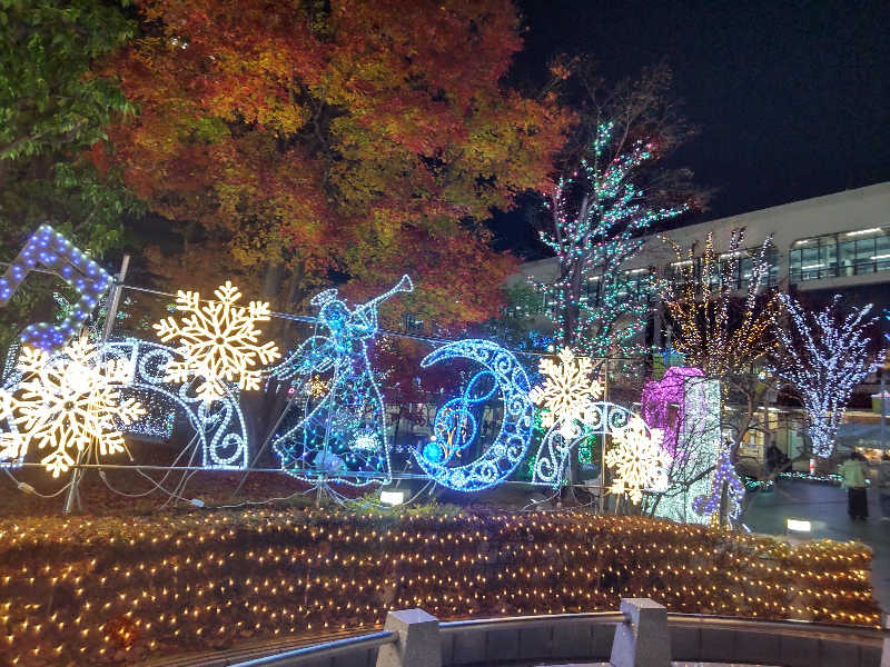 メリッサ🌿さんの磐梯の湯 ドーミーインEXPRESS郡山のサ活写真