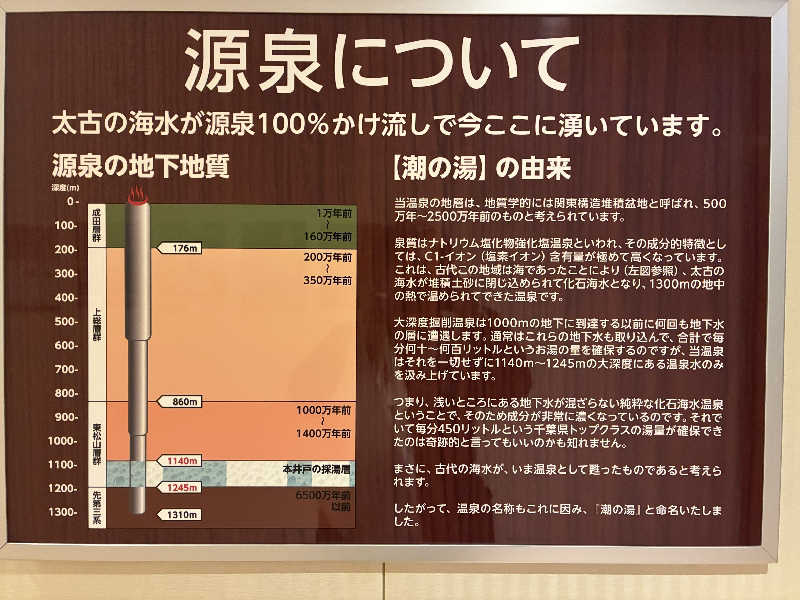 Dice-Kさんののだ温泉 ほのかのサ活写真
