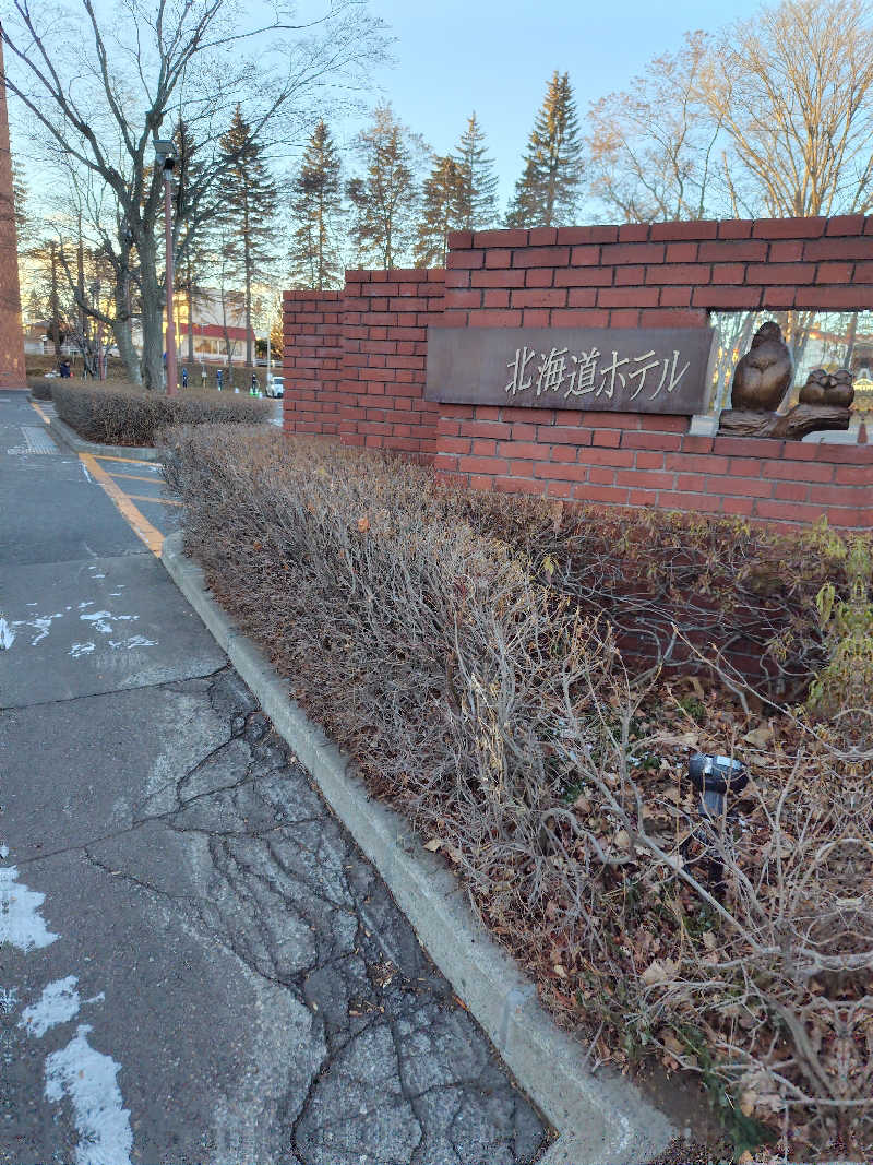 零メンさんの森のスパリゾート 北海道ホテルのサ活写真