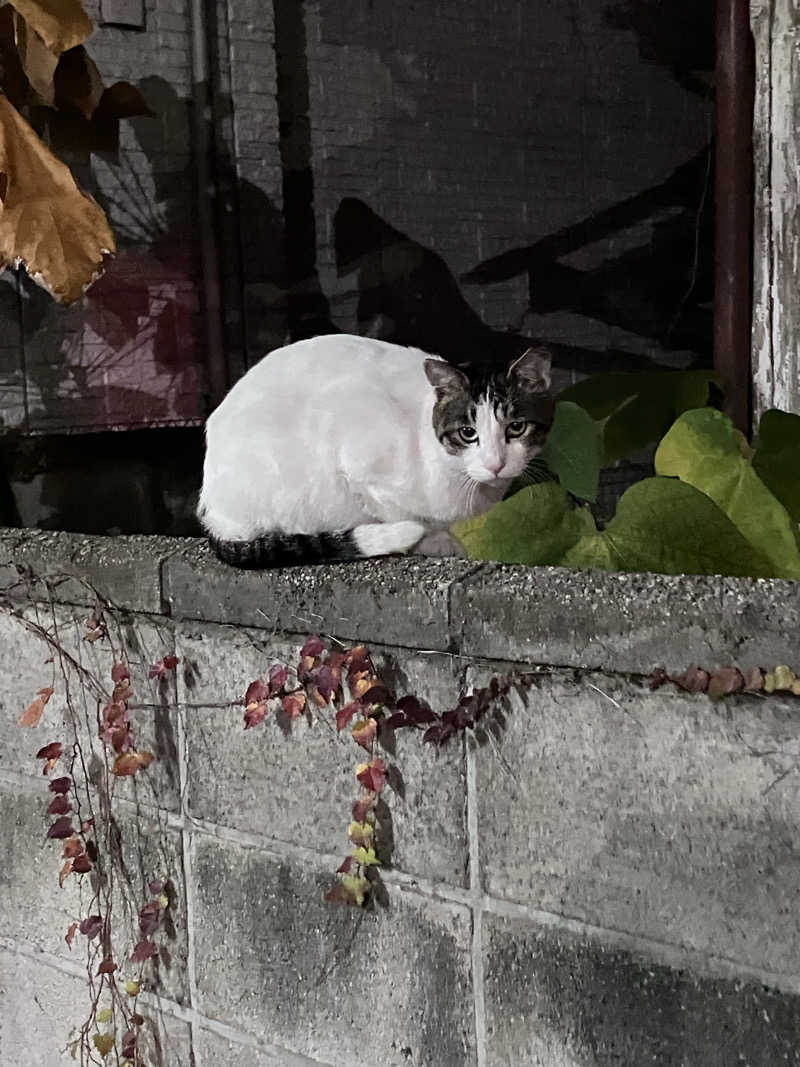 ぐち恵さんの堀田湯のサ活写真