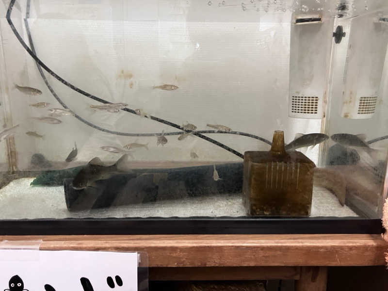 ぐち恵さんの天然温泉 湯どんぶり栄湯のサ活写真