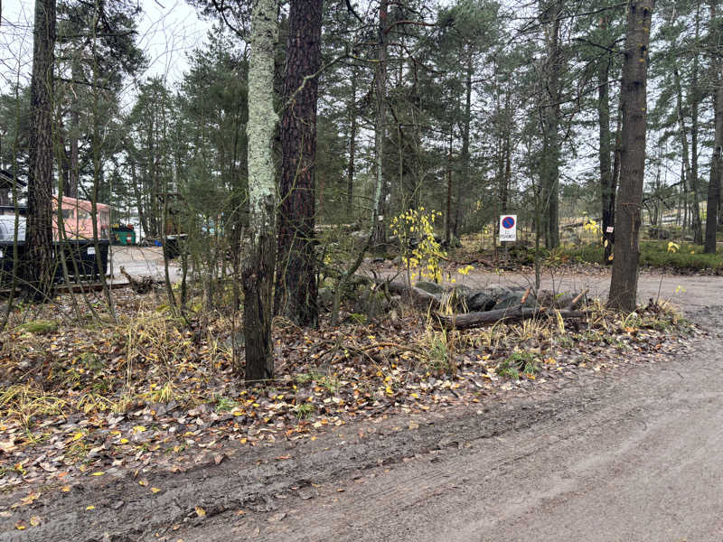 スケさんさんのSompasaunaのサ活写真