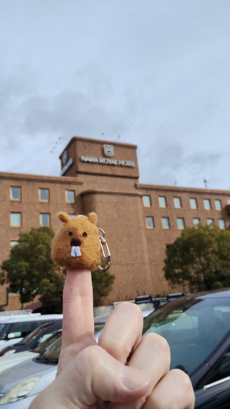 ViVA🦫さんの奈良ロイヤルホテル ラ・ロイヤル・スパ&サウナのサ活写真