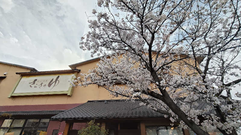 ViVA🦫さんの蔵前温泉さらさのゆのサ活写真