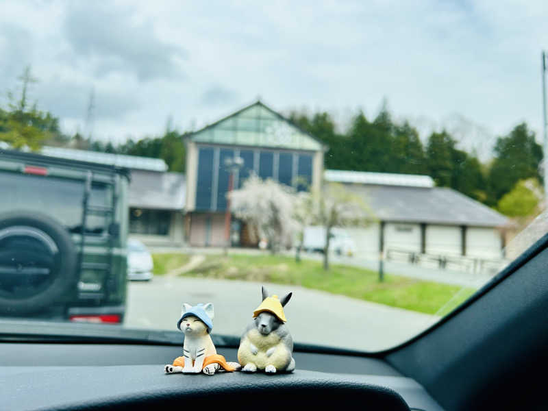 74さんの水沢温泉館のサ活写真