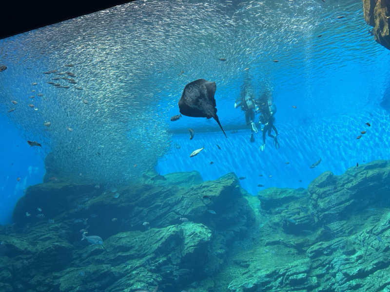 74さんの天然温泉 仙台コロナの湯のサ活写真